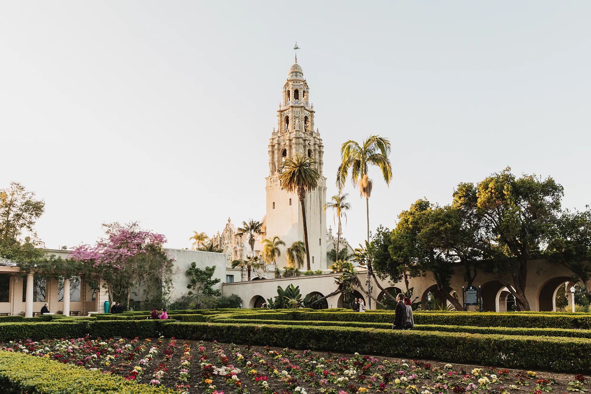 California Tower view from the Alcazar Garden.