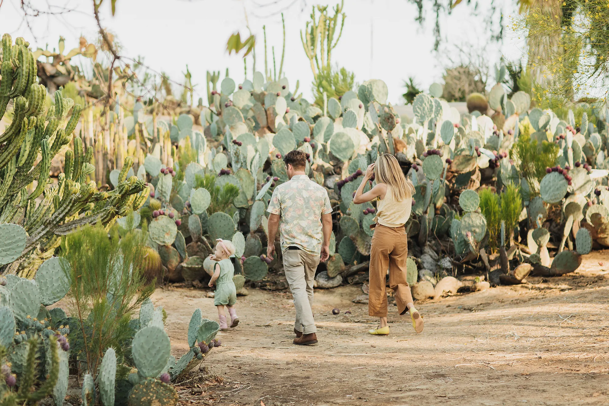 Two adults with a young child walking along a dirt path surrounded by a variety of cacti in the Kate O. Sessions Cactus Garden.