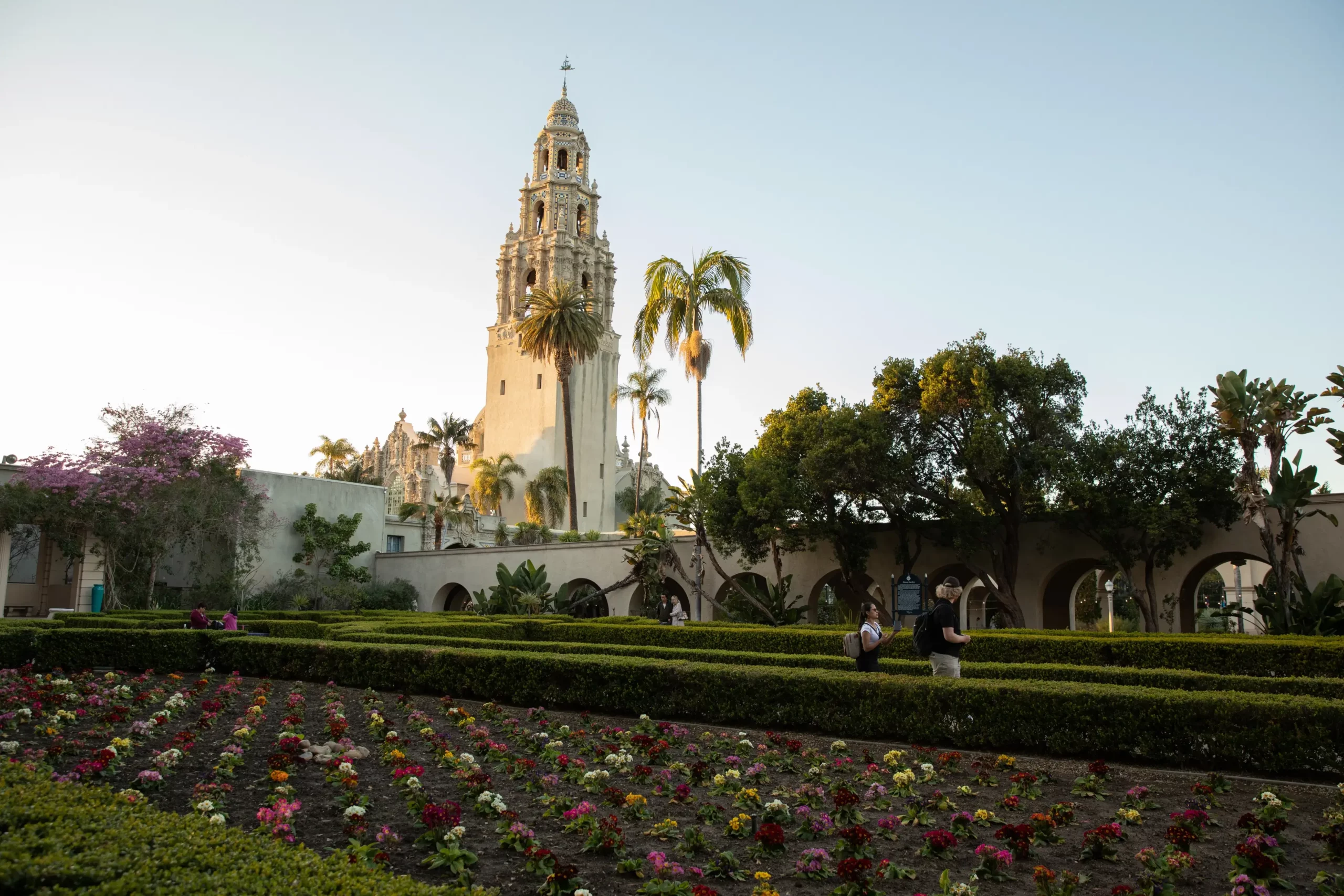 Alcazar garden with rows of flowers and trimmed bushes in the foreground and the California Tower in the background.